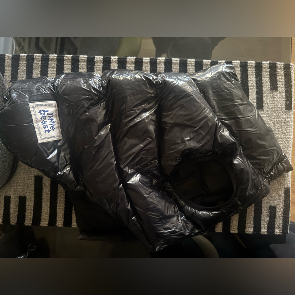 Stylish Black Dog Puffer Jacket